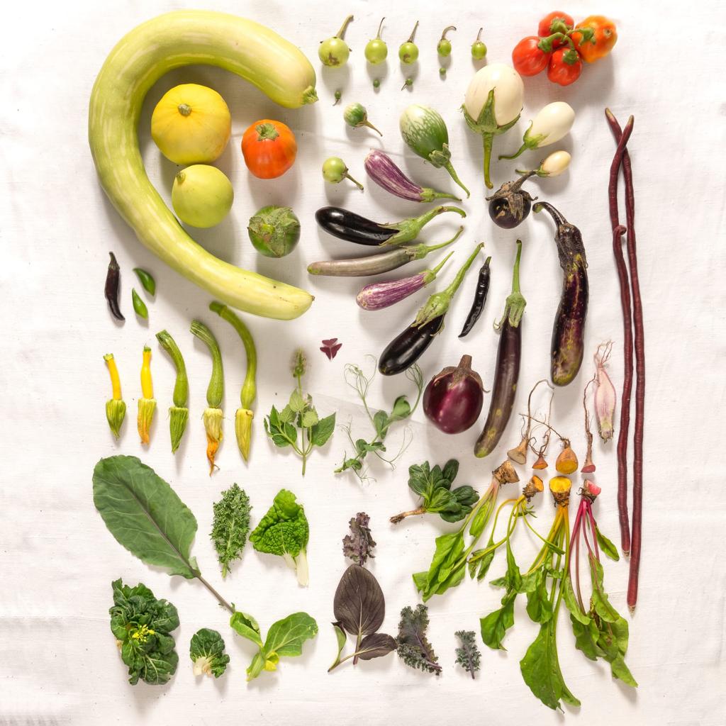 Composizione Manna Organic food lifestyle