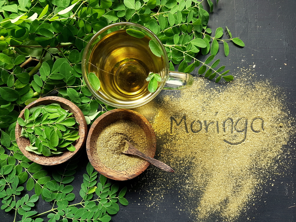 moringa-oleifera-food-lifestyle